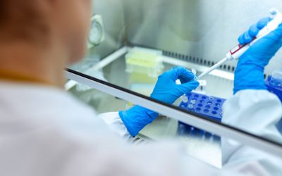 Na ČZU vzniká nové centrum pro výzkum infekčních chorob zvířat