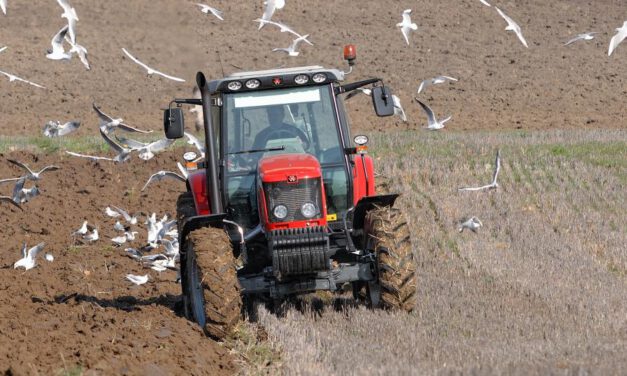 Sucho v Česku: Ekozemědělství to zatím zvládá líp než tradiční hospodářství