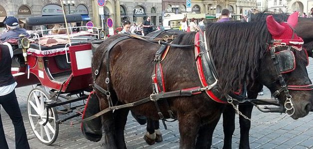 Sněmovní výbor podpořil petici za návrat koňských povozů na Staroměstské náměstí