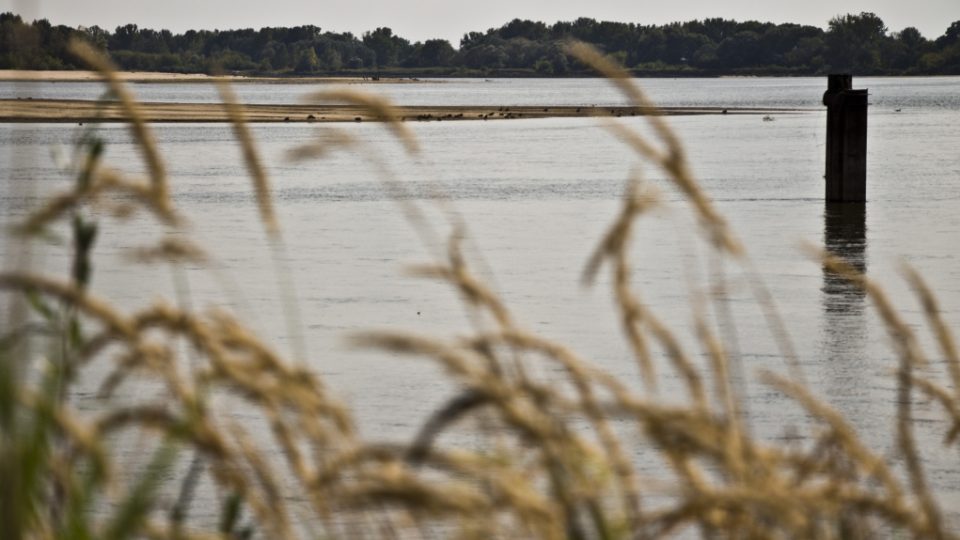 Malé české toky ohrožuje sucho. Velký problém mají i organismy, které v nich žijí
