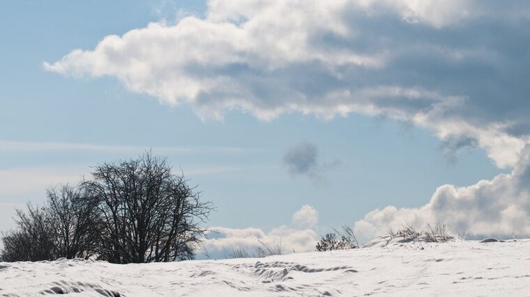 Kde v Česku roste „bio“. Hornaté pohraničí vede díky pastvinám, úrodné regiony na rozvoj čekají
